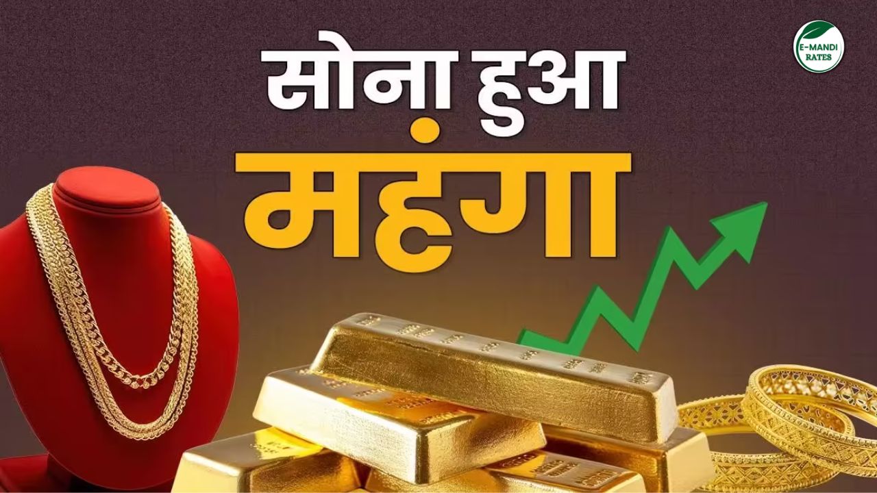 आज सोन्याचा भाव ३,४०३ रुपयांनी वाढून १,३०,८७४ रुपयांच्या सर्वकालीन उच्चांकावर…