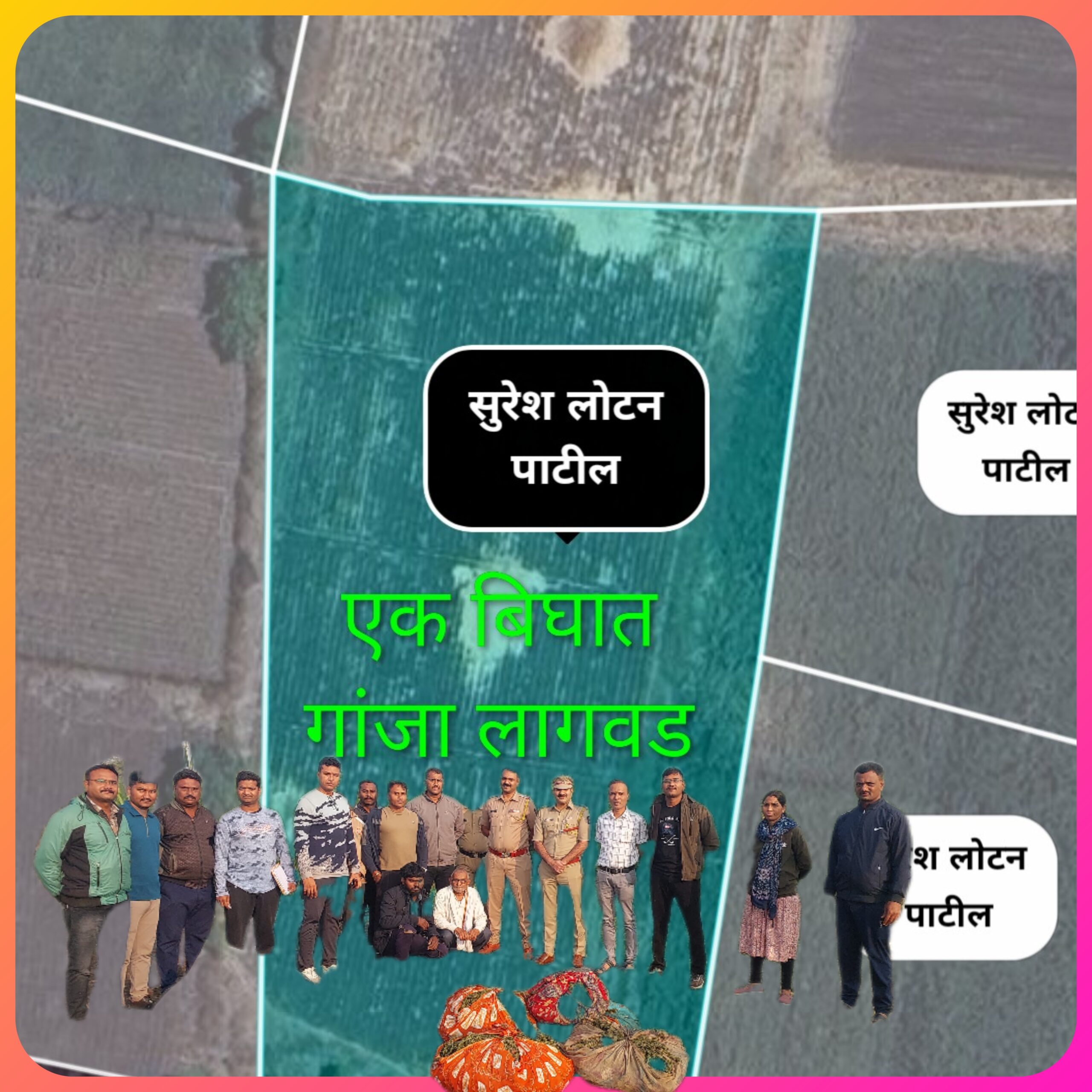 अमळनेर तालुक्यात खळबळ: गडखांब शिवारात साडेतीन कोटींचा गांजा जप्त; ‘जगाच्या पोशिंद्या’वर अटकेची वेळ