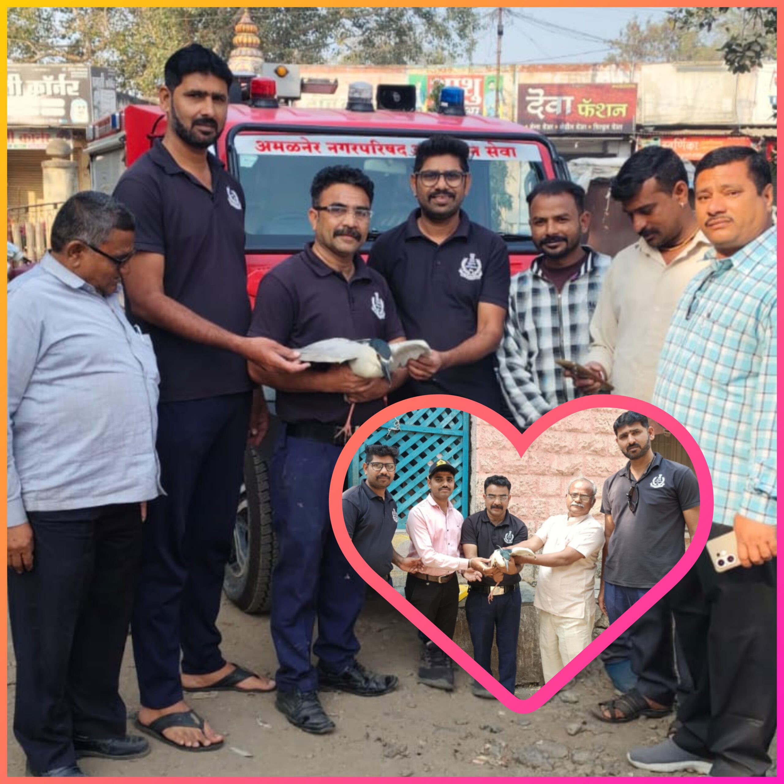 अमळनेर अग्निशमन दलाची तत्परता; मांज्यात अडकलेल्या पक्षाला जीवदान